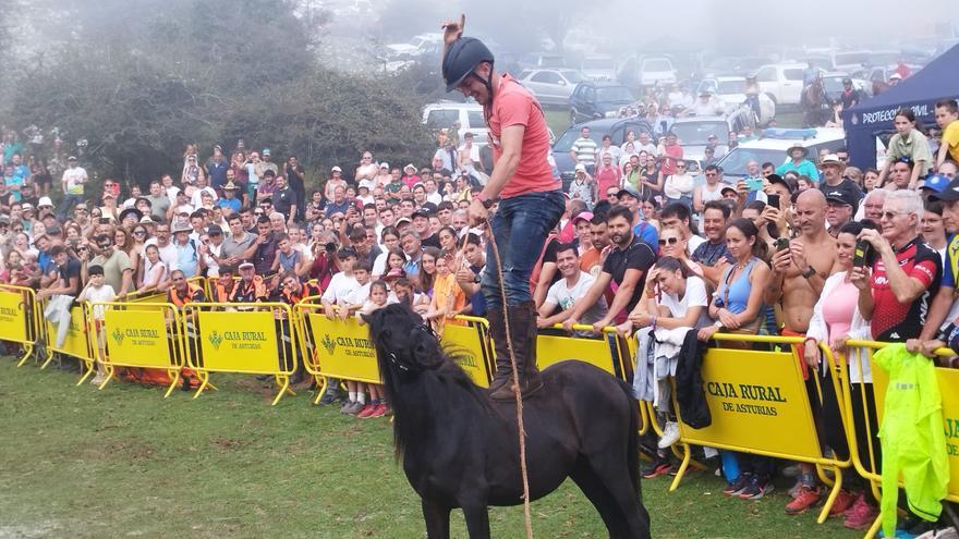 Así fue la gran fiesta del Asturcón en el Sueve