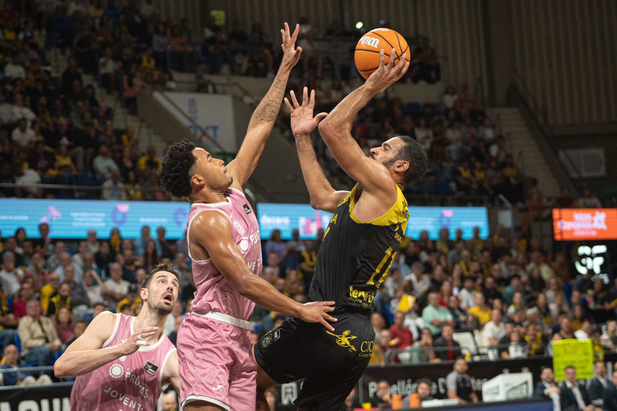 Partido La Laguna Tenerife CB Canarias - Joventut Badalona Inicio de playoff de Liga Endesa Quedarse hasta el fina porque en caso de derrota podría ser el último partido en casa esta temporada  | 02/06/2025 | Fotógrafo: Rafael Arturo Jiménez Rivero