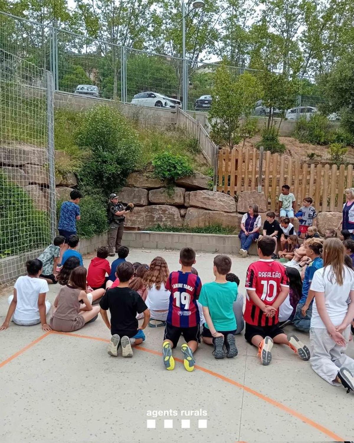 Una agent fent divulgació a l’escola Setelsis de Solsona després de rescatar una família d’eriçons