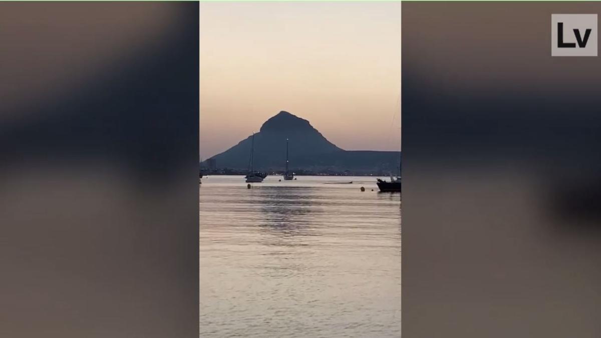 Ballenas rorcuales nadan entre los barcos fondeados en la cala Sardinero de Xàbia