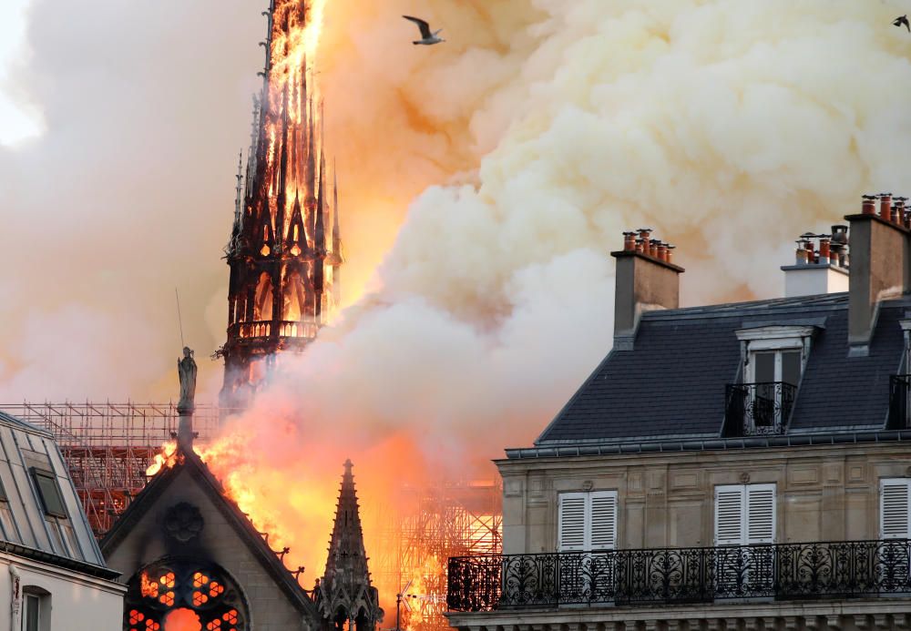 Un incendi crema Notre Dame de París