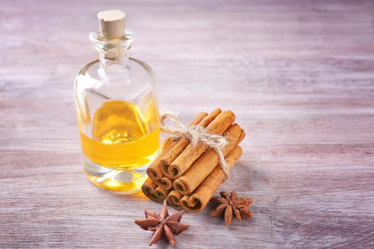 Mezclar vinagre y canela: el truco definitivo contra los insectos que arrasa esta primavera
