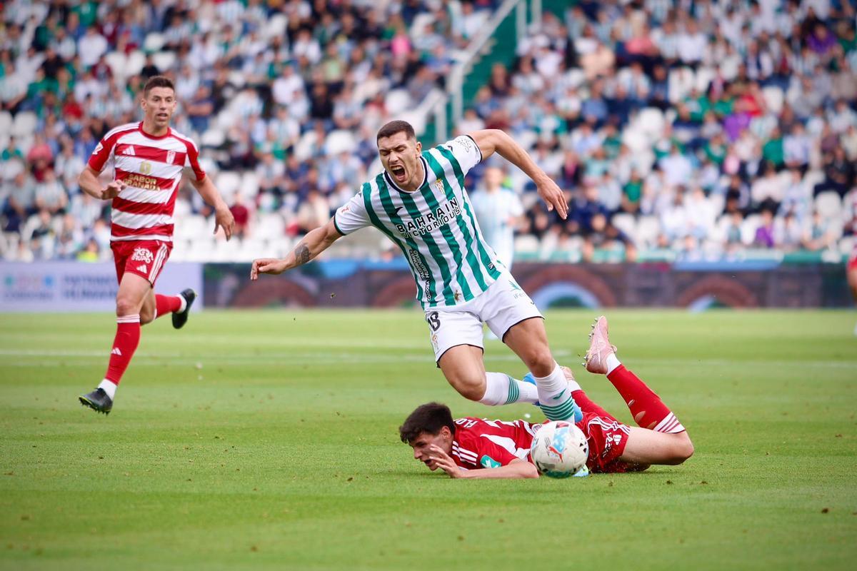 Córdoba CF-Granada | Las imágenes del partido de LaLiga Hypermotion