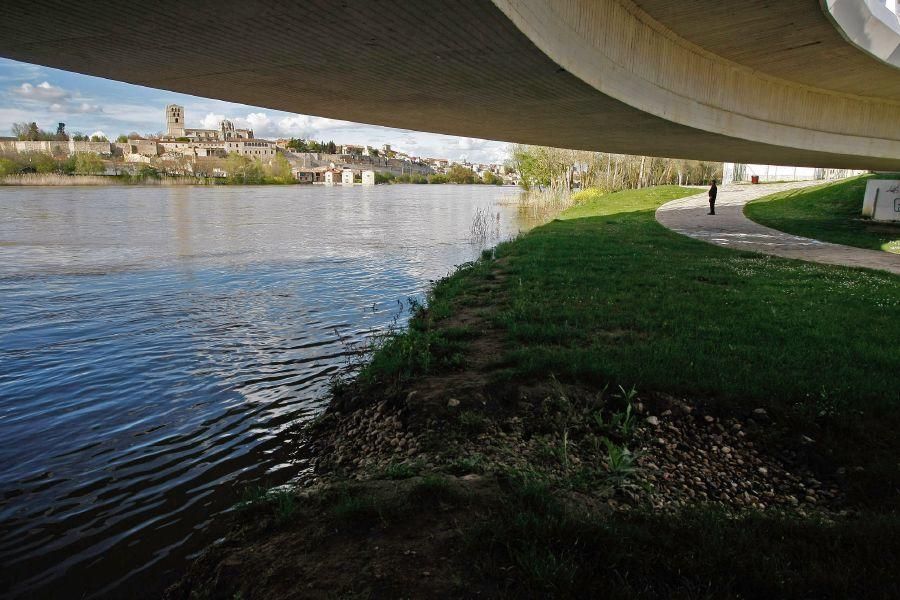 Crecida del río Duero a su paso por Zamora