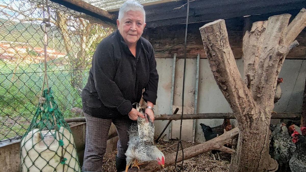 Chelo en su gallinero en Meira.