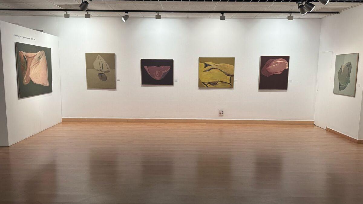 El Centro Cultural MIRA de Pozuelo acoge la obra del reconocido pintor de arte abstracto Soto Mesa