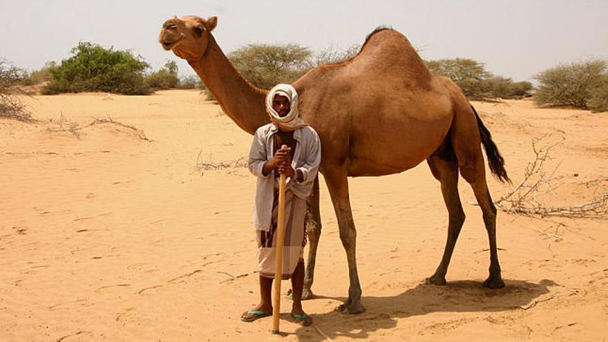 Pintoresco. Pese a los peculiares paisajes que ofrece, el Ministerio de Asuntos Exteriores desaconseja visitar Arabia Saudí.