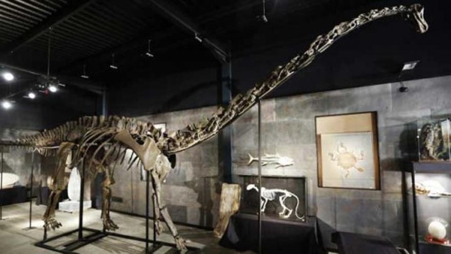 El esqueleto de un diplodocus se subasta en Londres