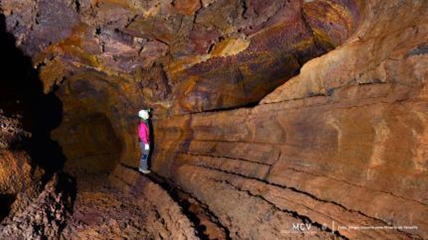 Visits to Cueva del Viento increased by 49% this summer