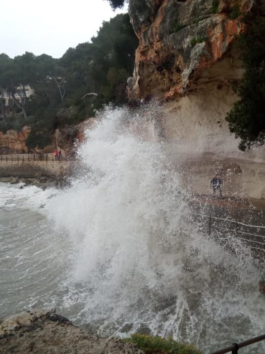 So wütete der Sturm auf Mallorca