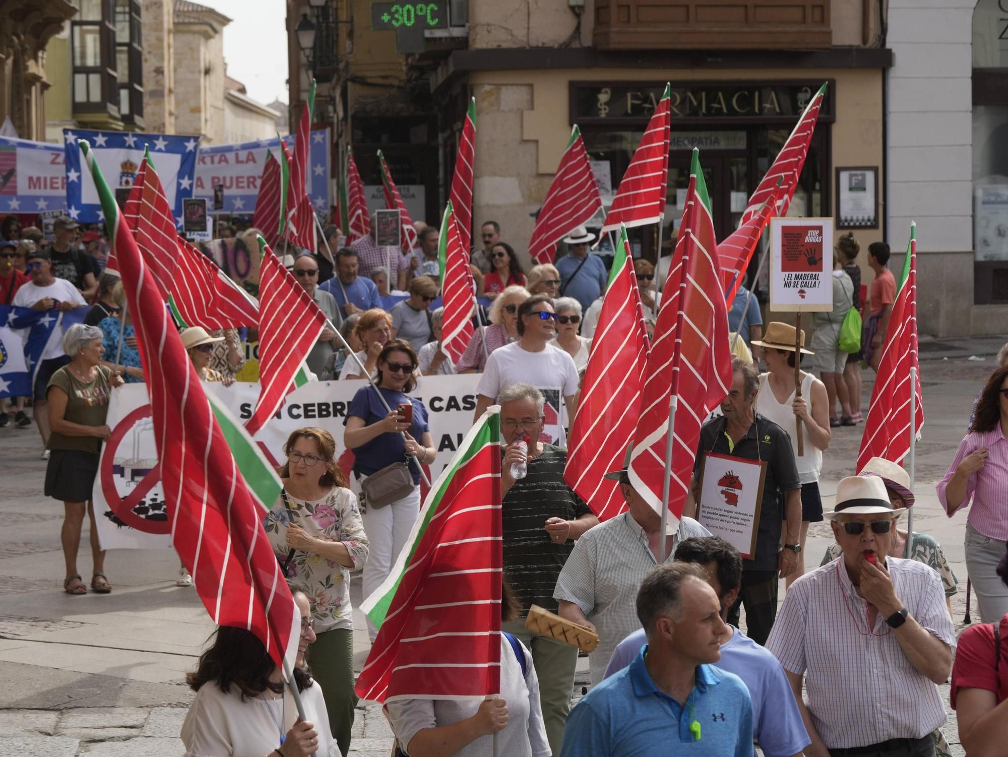Zamora se suma a la convocatoria nacional contra el biogás