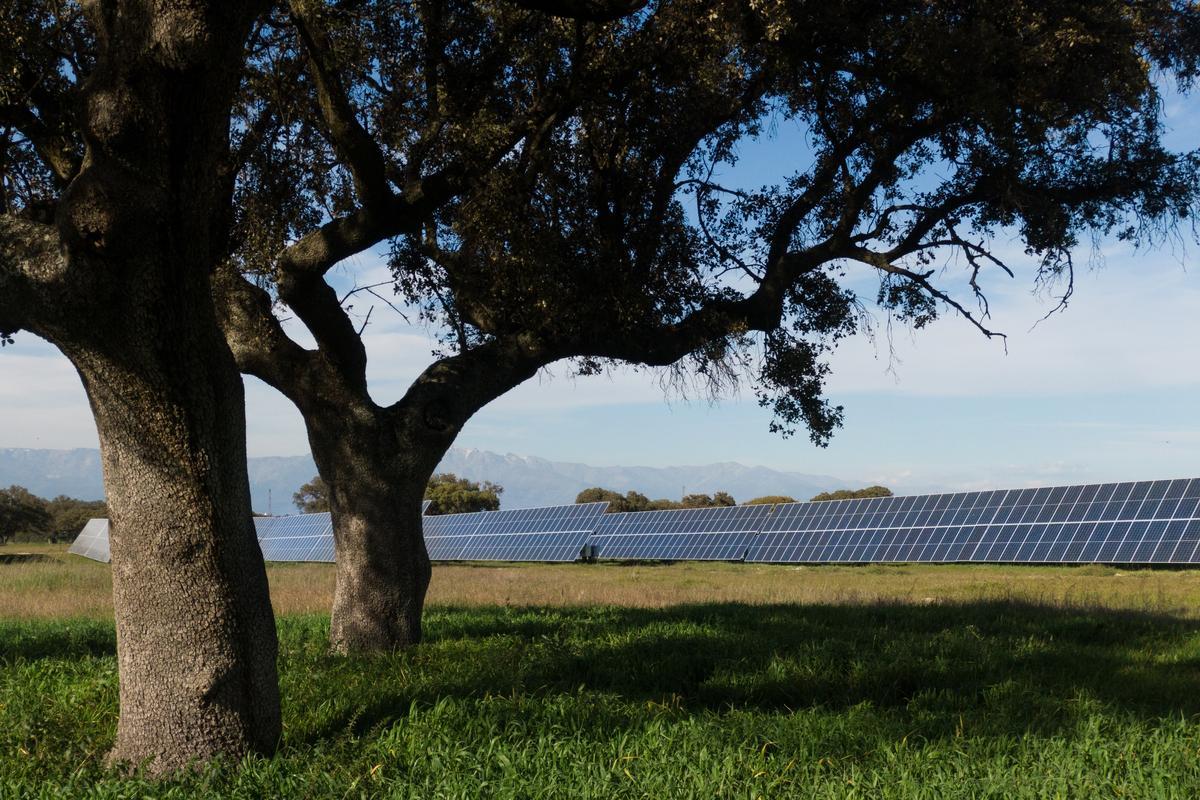 Planta Talayuela Solar de Statkraft en Extremadura.