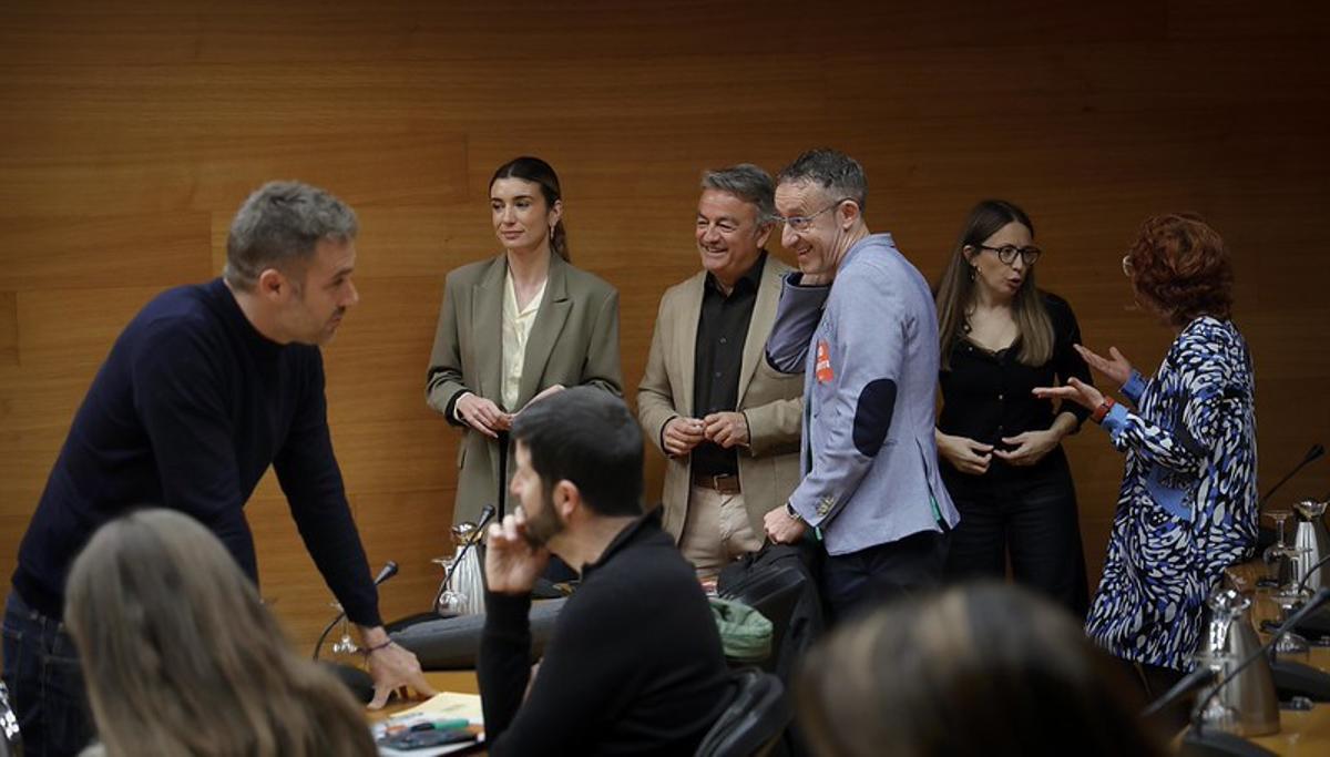 Comisión de Educación y Cultura en las Corts