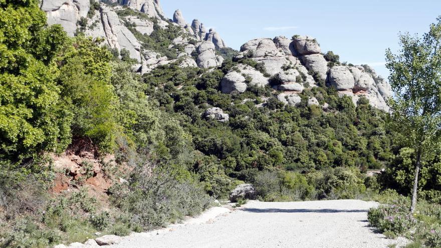 L&#039;absència d&#039;excursionistes frena l&#039;estat de degradació de la muntanya de Montserrat