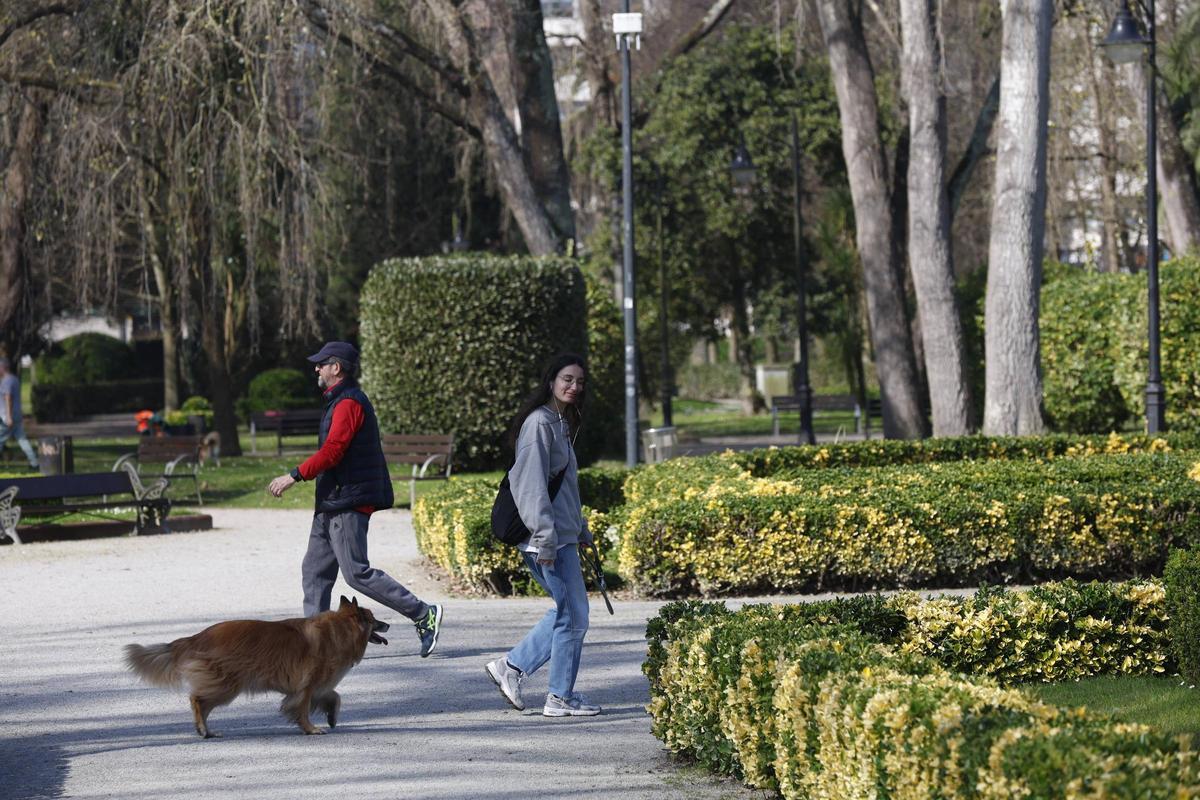 Un perro y su dueña paseando por Isabel la Católica.
