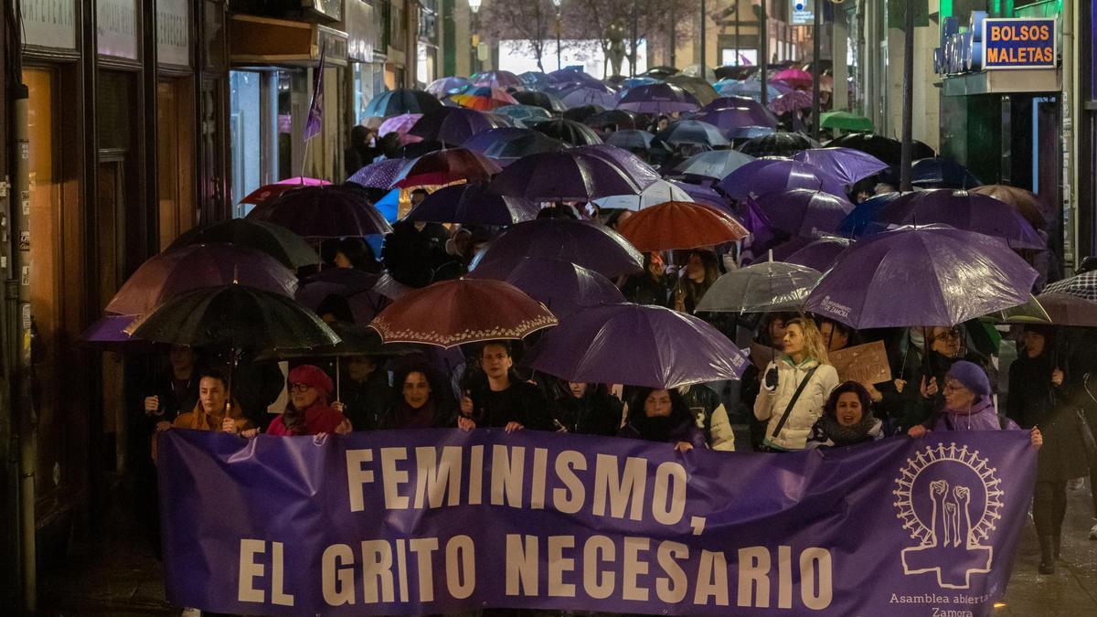 Manifestación del 8M en Zamora