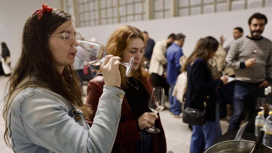 El Salón de Vinos Singulares Vinalia encandila al paladar en Gijón.