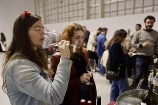 El Salón de Vinos Singulares Vinalia encandila al paladar en Gijón.