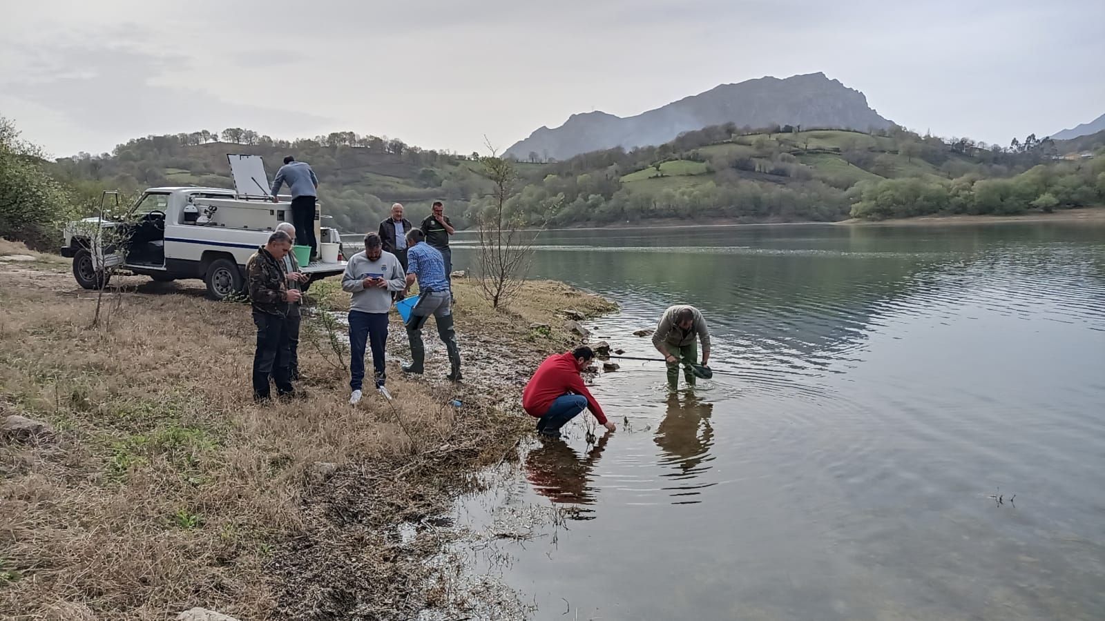 Repoblaci�n del embalse de  los Alfilorios con Truchas de Pravia.jpg