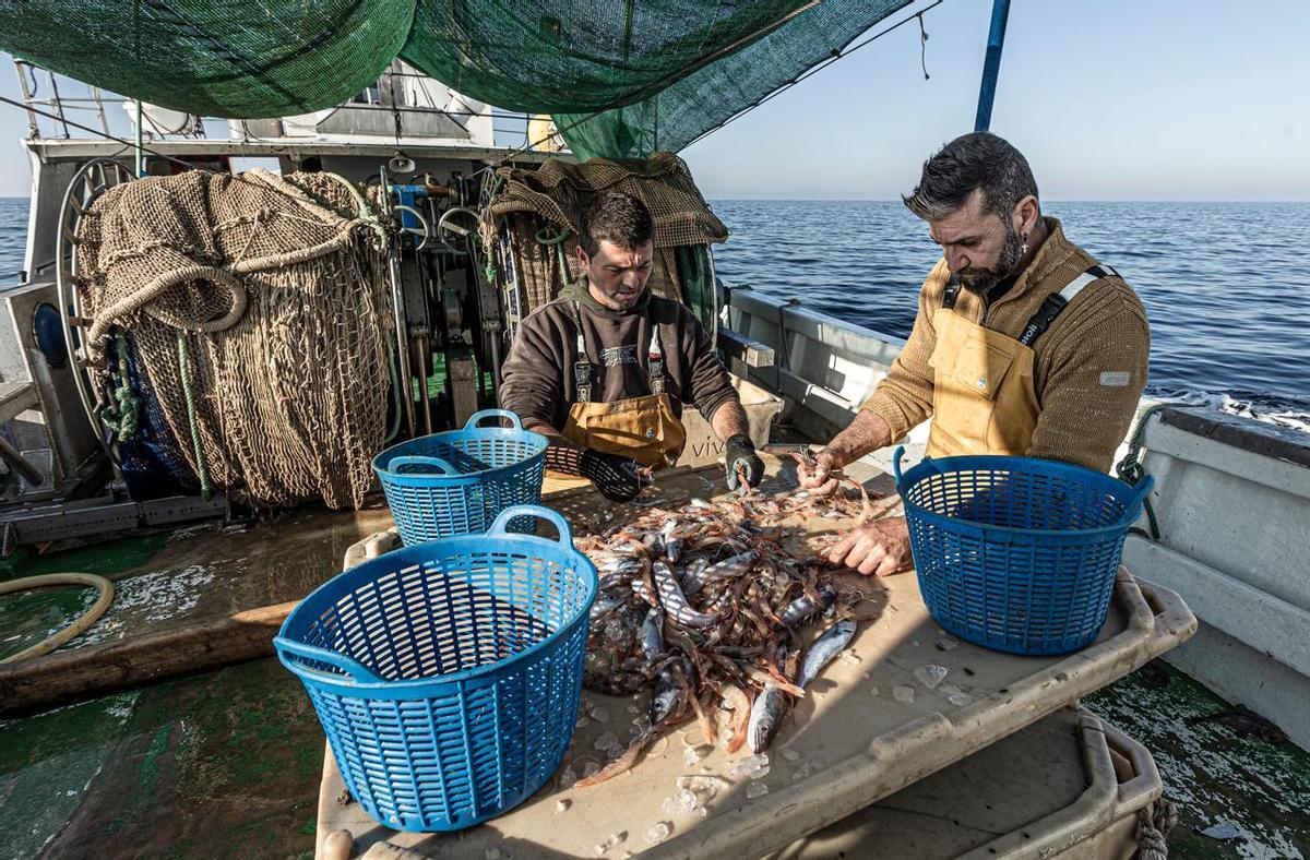 Pescadores seleccionando sus capturas a bortdo de una embarcación.