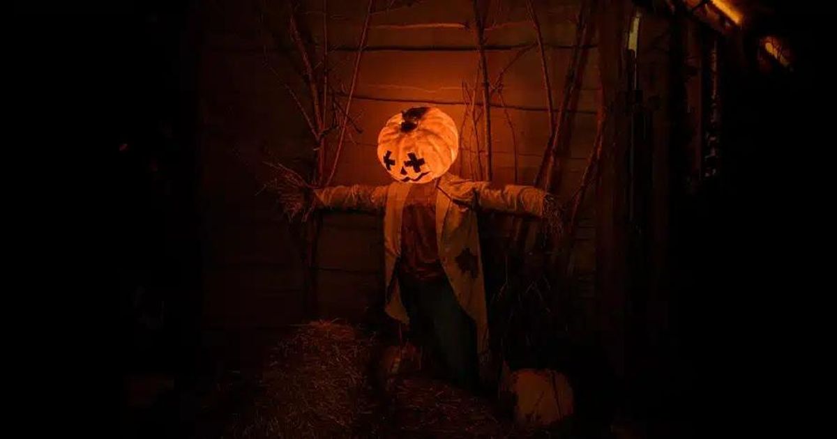 Edición de 2024 del Creepy Halloween. Edición de 2024 del Creepy Halloween.