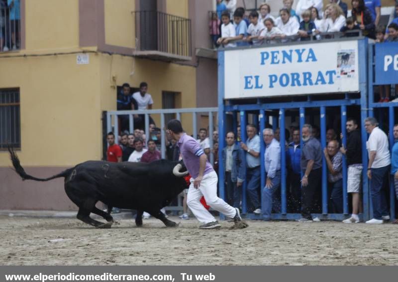 GALERÍA DE FOTOS -- Almassora late con toros bravos pese a la lluvia