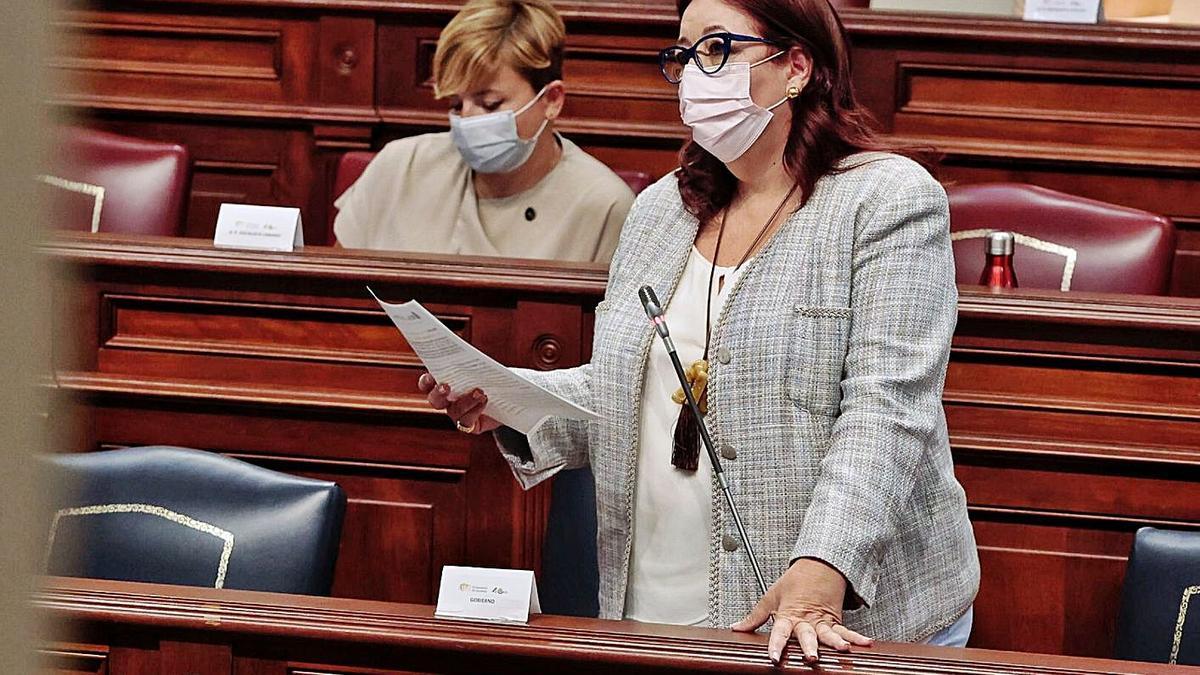 Manuela Armas, ayer, en el Parlamento de Canarias. | | MARÍA PISACA