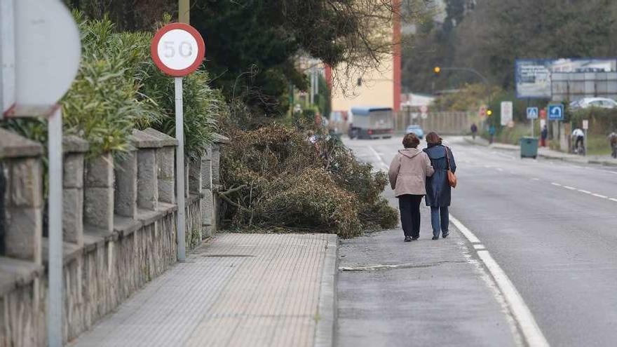 Un árbol impide el paso de peatones en la avenida de Lugo