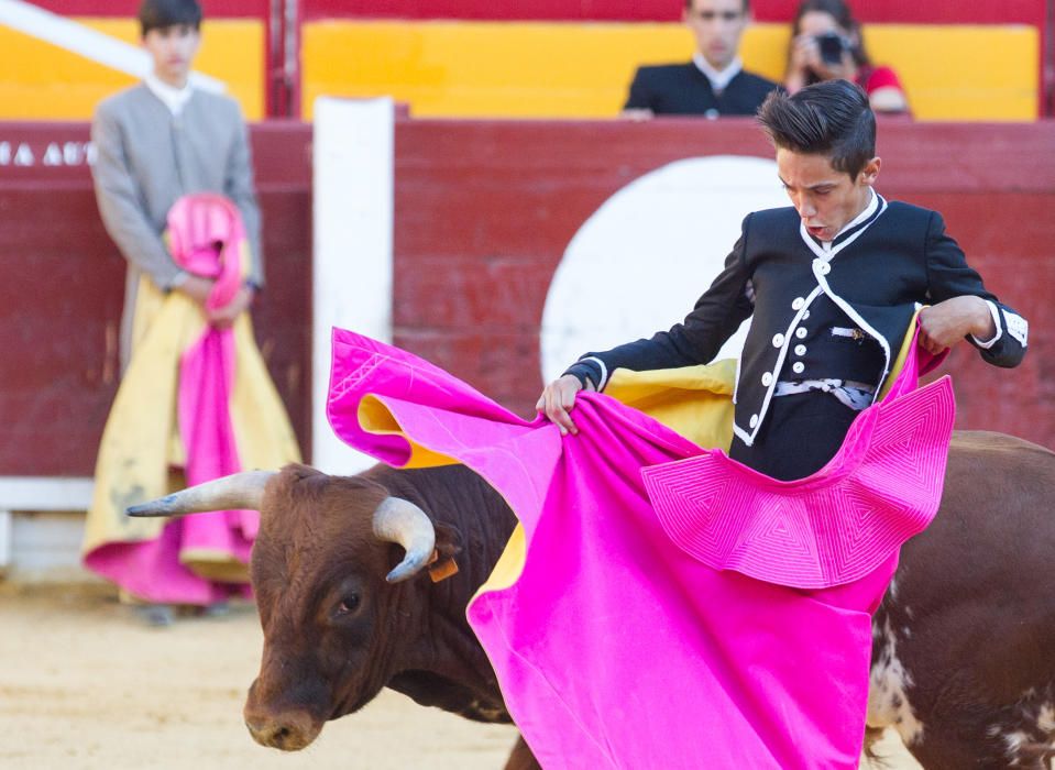 Fervor por los nuevos valores en la becerrada de la feria de San Juan