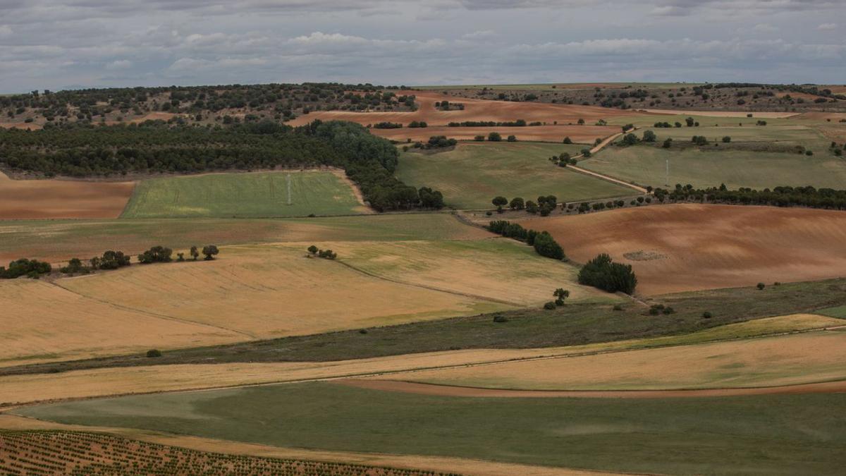 Fincas agrarias en Zamora. | Emilio Fraile