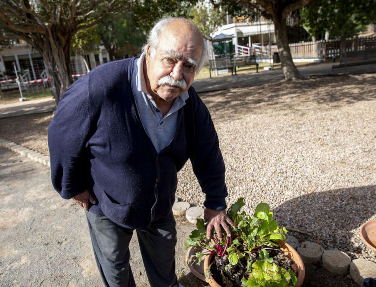 Huerto y artesanía para mantener la memoria en Cas Serres