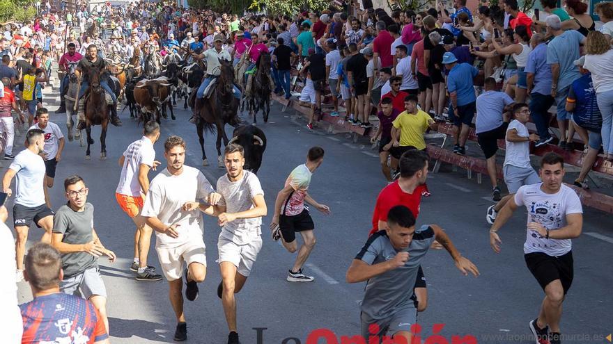 Las fiestas del Santísimo Cristo del Rayo de Moratalla incluirán ocho encierros