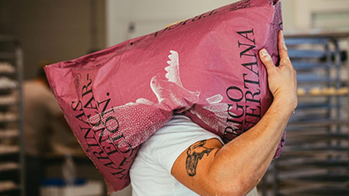 Diseño realizado para Harinas La Encarnación