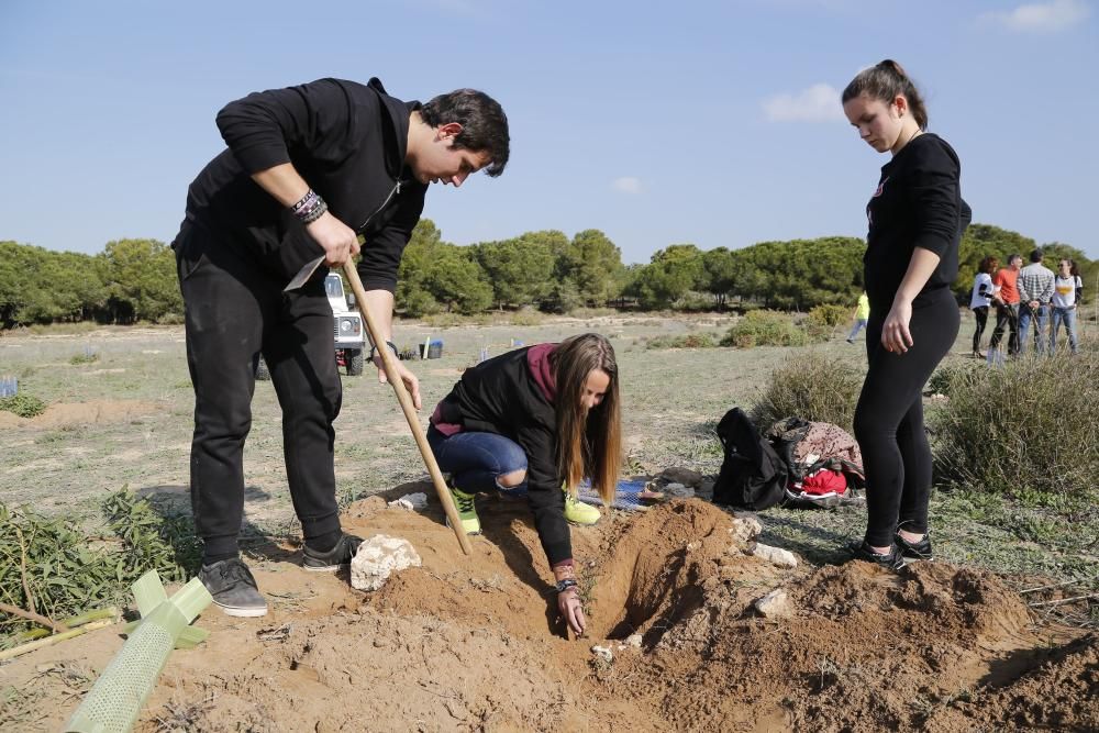 Plantación de especies autóctonas de alumnos del IES Mare Nostrum el día del arbol en el parque natural de las lagunas