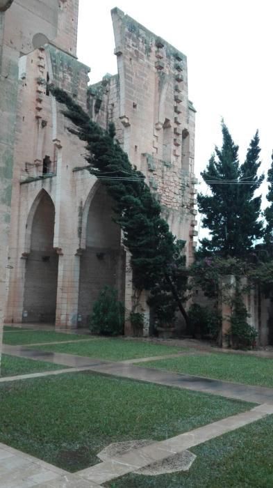 Sturmschäden in Son Servera.