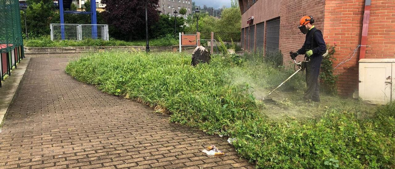 Un trabajador del Ayuntamiento de Aller hace labores de desbroce en Moreda.