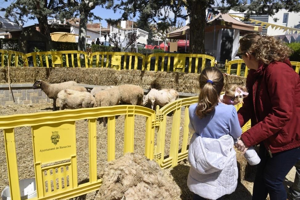 Monacàlia, fira de l''Abat a Navarcles. Jornada de diumenge