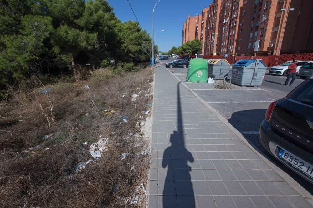 Abandono en la zona del Palmeral de San Gabriel