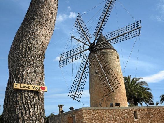 Sechs Schmuckstücke: Die Mühlen-Route auf Mallorca