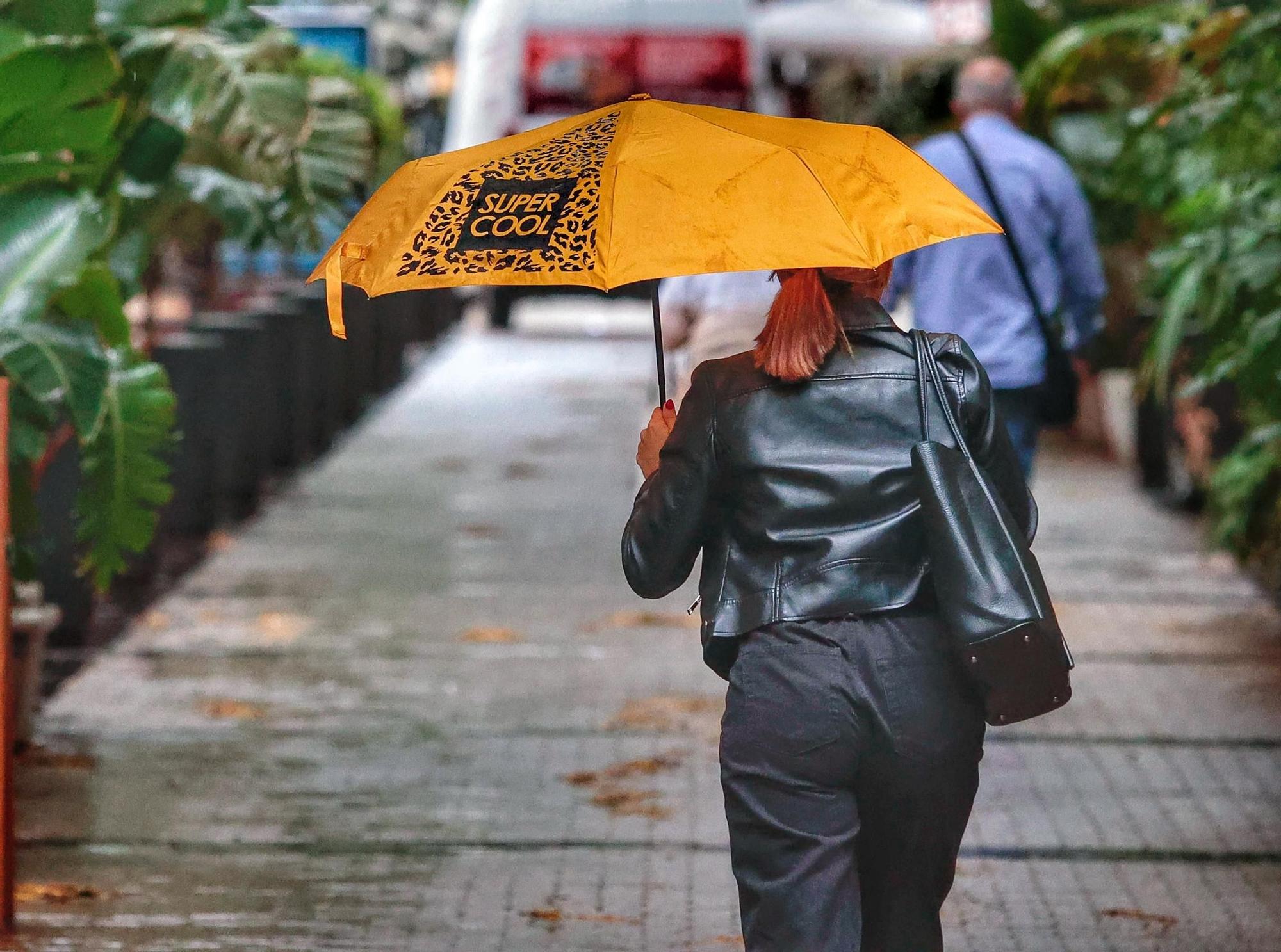 Lluvia en Santa Cruz de Tenerife (30/11/2023)