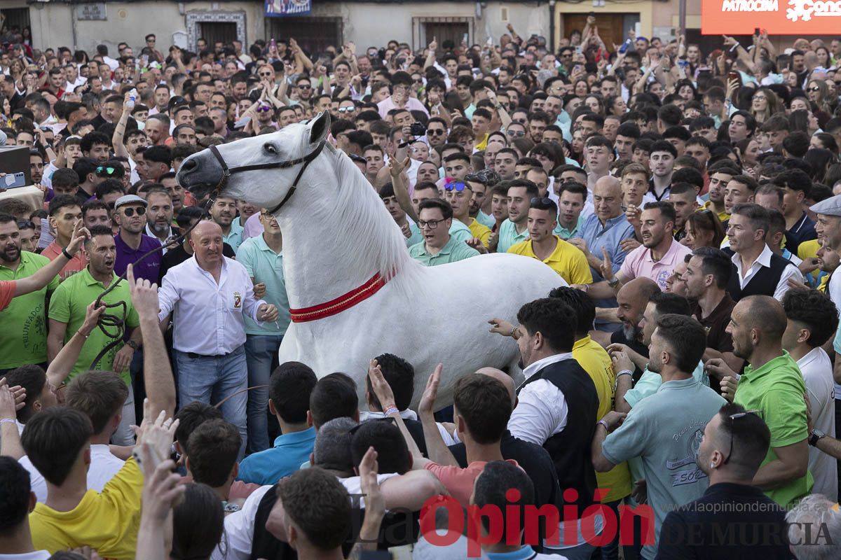 Fiestas de Caravaca | Entrega de premios del concurso morfológico