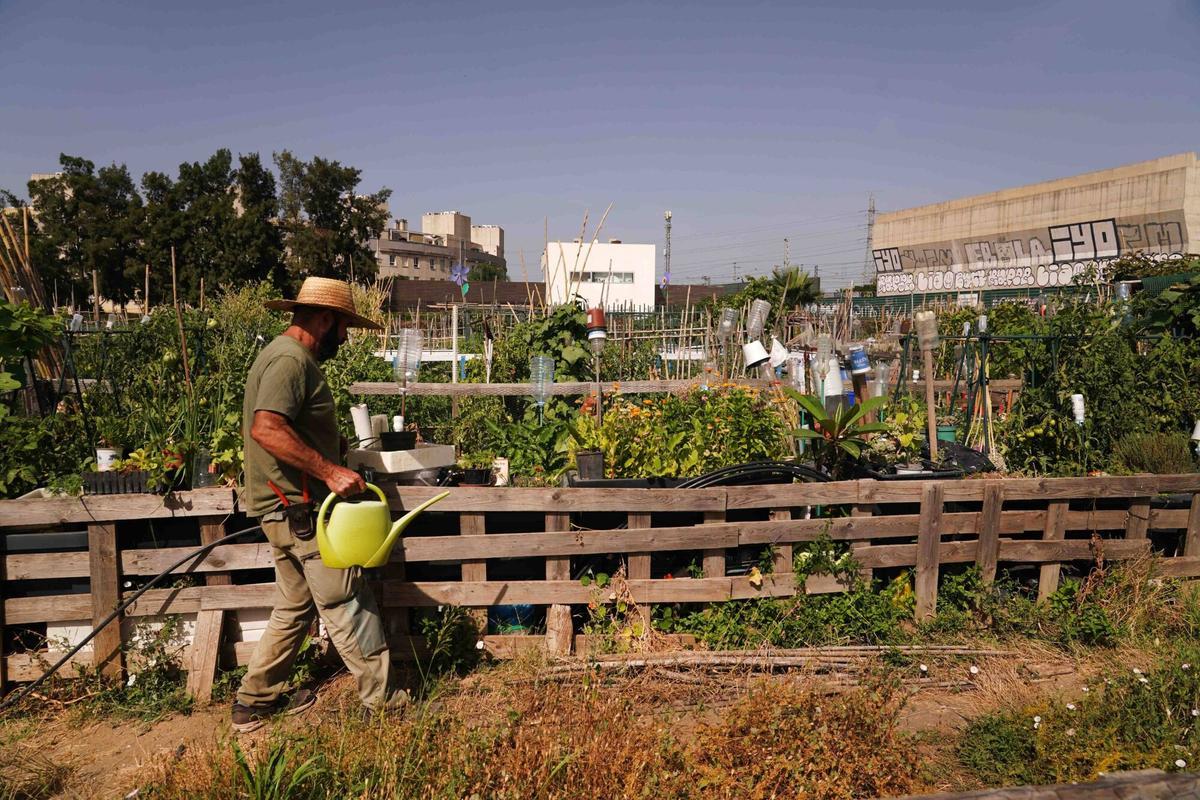 Décimo aniversario del huerto urbano más grande de la capital malagueña.
