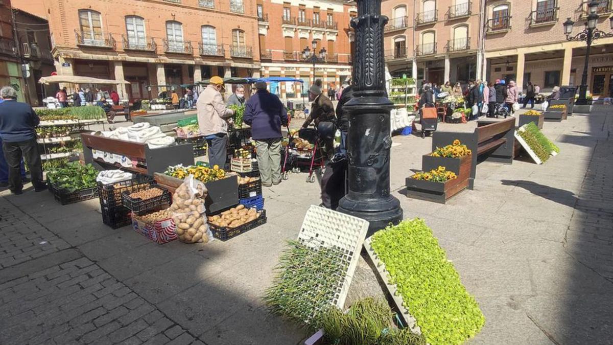 La concesionaria se hará cargo de las máquinas de los mercadillos. | J. A. G.