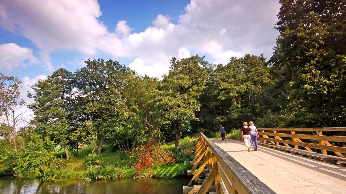El parque de Toledo que muy pocos conocen, pero que arrasa en redes por su espectacular paisaje: "Parece Ohio"