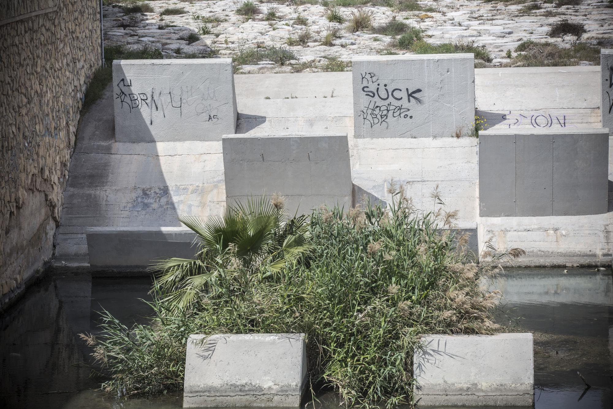 Nadie quiere limpiar el Barranco de las Ovejas en Alicante