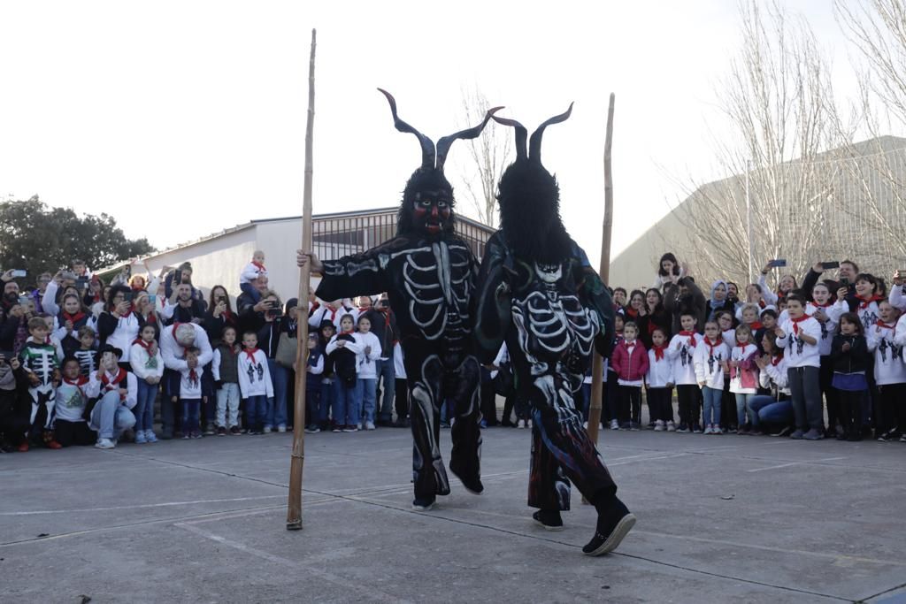 Sant Antoni 2023: Artà descorcha las celebraciones santantonieres