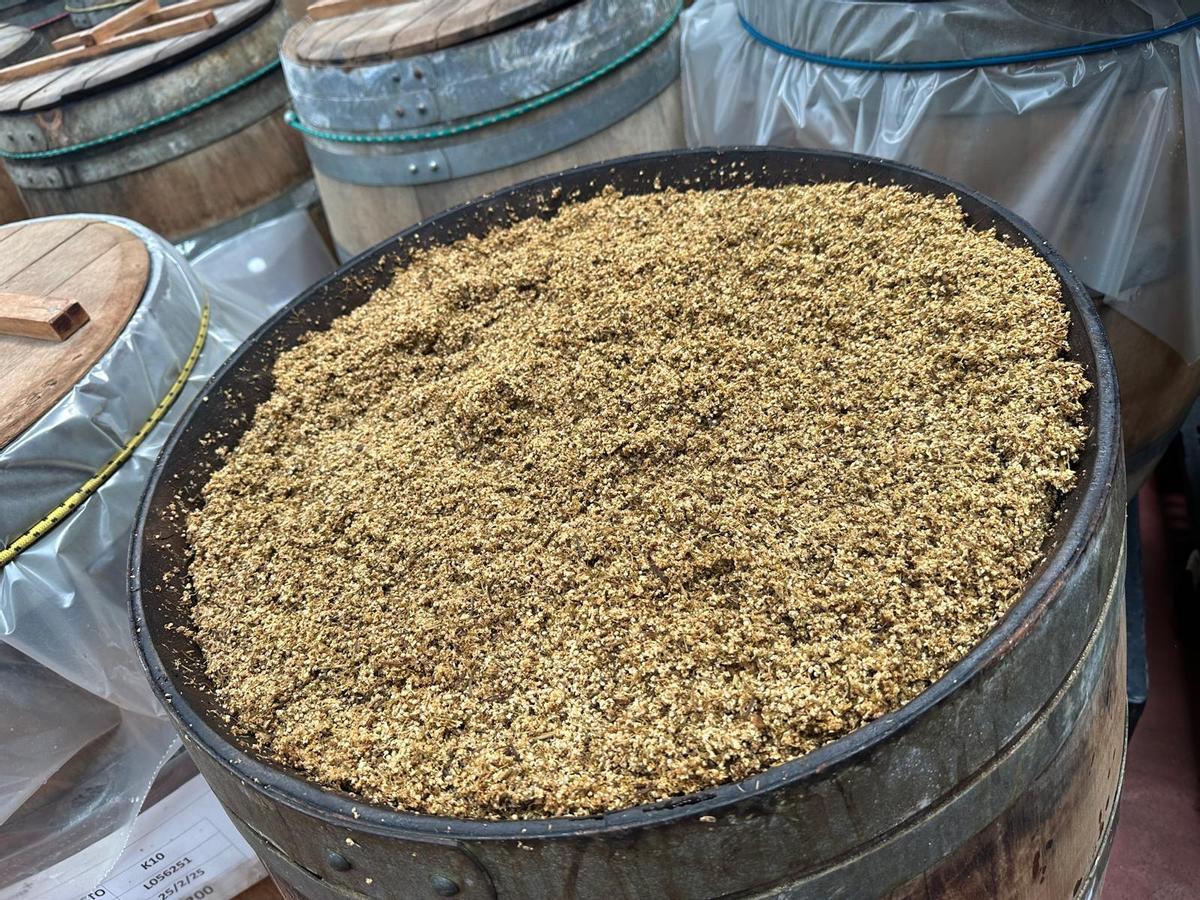 Proceso de maceración de Vermut Zarro, donde botánicos, hierbas y especias dan forma a su carácter aromático.