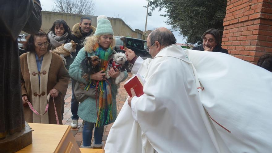 GALERÍA | Así celebra Santa Cristina la bendición de los animales por San Antón