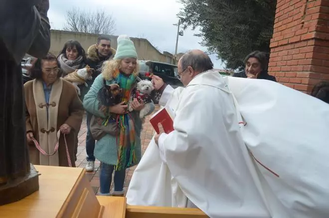 GALERÍA | Así celebra Santa Cristina la bendición de los animales por San Antón