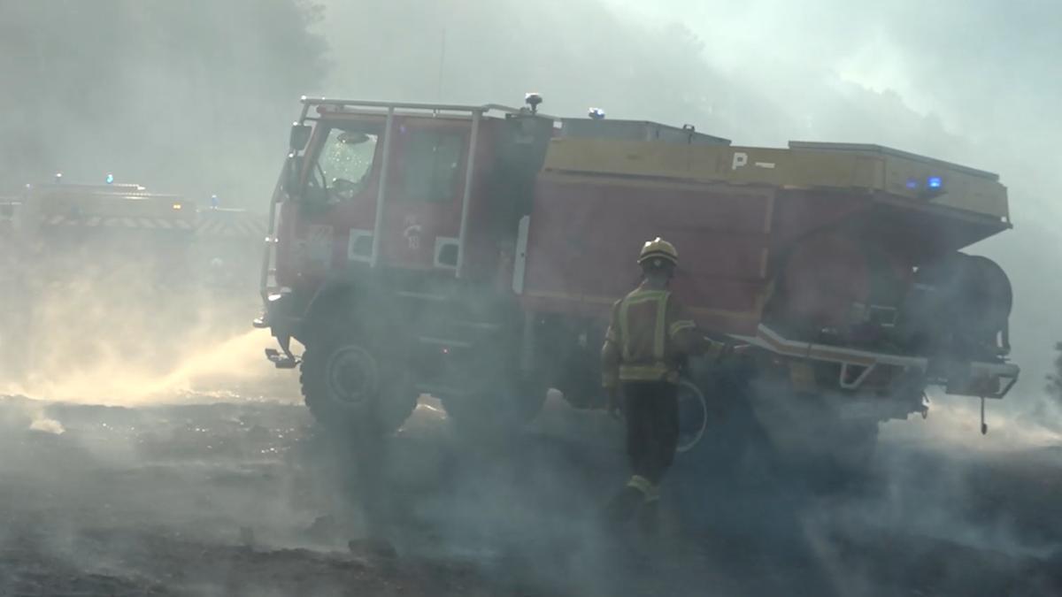 Un incendi crema a Portbou empès per la tramuntana.